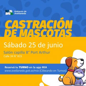 Castracion-Feed-22.-25-de-junio.-1024x1024