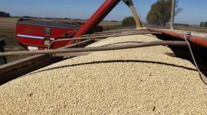 DOLARSOJADOLARESAGROEXPORTADORES-