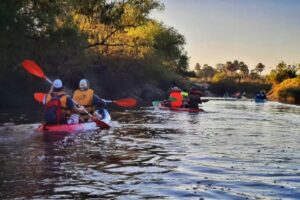 WhatsApp Image 2024-01-09 at 11.52.43