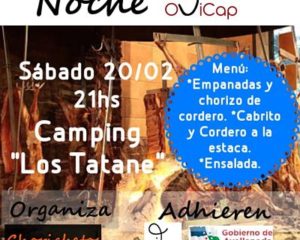 noche-ovicap-720x576_opt